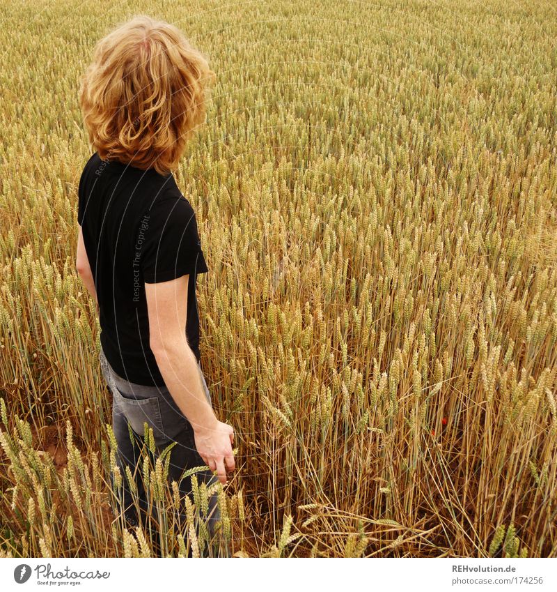 Do you feel the field ? Colour photo Exterior shot Full-length Human being Masculine Young man Youth (Young adults) 1 18 - 30 years Adults Nature Landscape