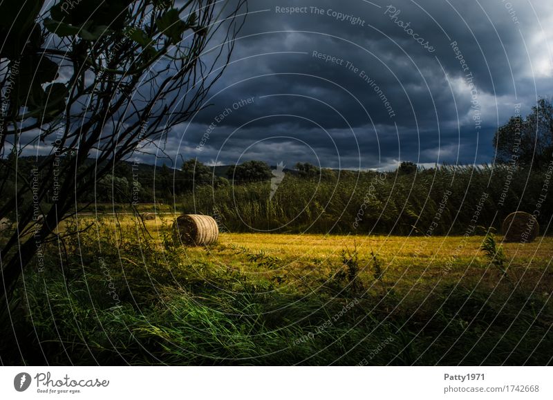 before the storm Landscape Storm clouds Summer Gale Thunder and lightning Hay roll Hay bale Meadow Field Threat Dark Blue Yellow Environment Colour photo