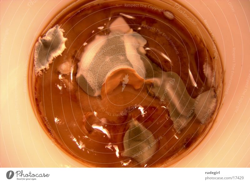 vanitas Pudding Transience Mold Detail