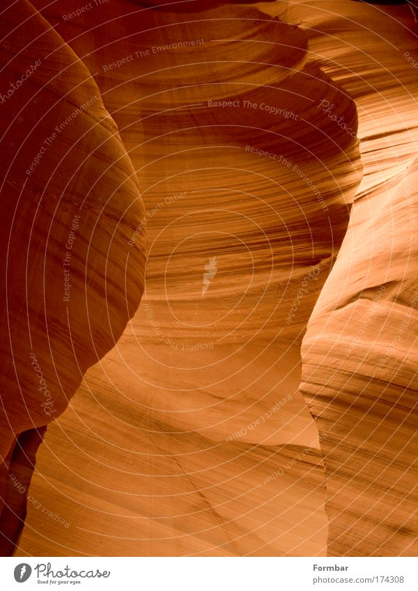 antelop canyon Colour photo Exterior shot Structures and shapes Shadow Deep depth of field Profile Environment Nature Earth Rock Mountain Canyon Yellow Red Day