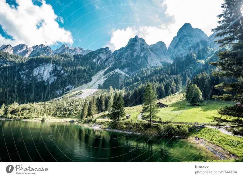 gosausee Environment Nature Landscape Water Clouds Tree Meadow Forest Rock Alps Mountain Lakeside Gosau lake Clean Blue Green Colour photo Exterior shot