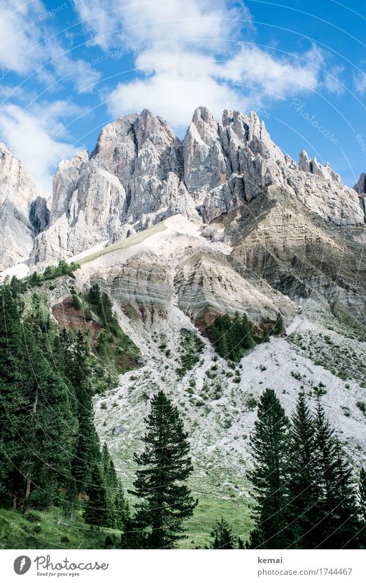 Dolomiti Vacation & Travel Adventure Far-off places Freedom Hiking South Tyrol Environment Nature Landscape Plant Elements Sky Clouds Summer Beautiful weather