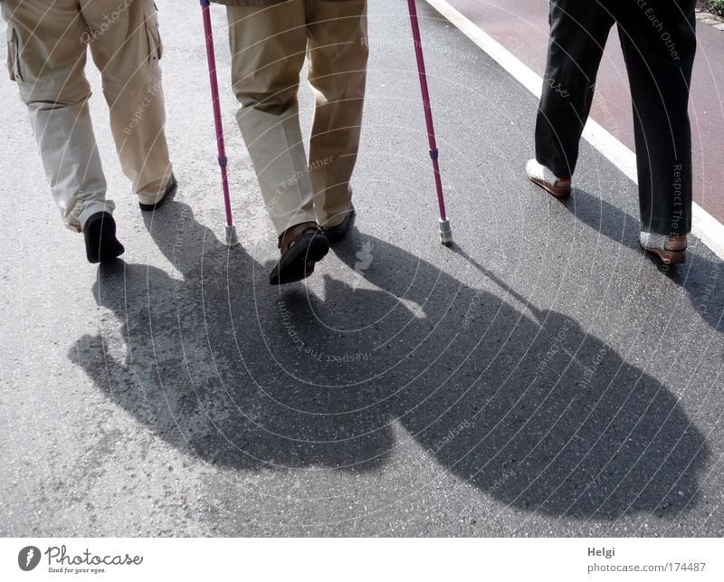 Legs of walking seniors with supports in sunlight with shadows on a street Colour photo Subdued colour Exterior shot Detail Day Light Shadow Contrast Sunlight