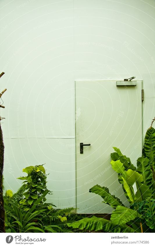 Jungle (exit) Door Door handle Entrance Way out Plant Palm tree Room biosphere Nature reserve Garden Green Oxygen