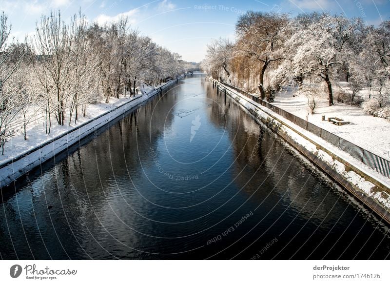Winter at the Landwehr Canal Vacation & Travel Tourism Trip Adventure Far-off places Freedom Sightseeing City trip Winter vacation Environment Nature Landscape