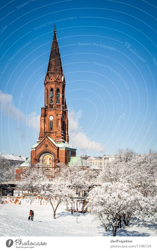 Winter atmosphere in Görlitz park with view of church Pattern Abstract Urbanization Capital city Copy Space right Copy Space left Cool (slang) Copy Space middle