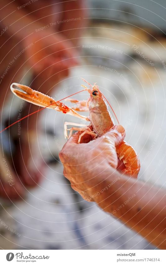Silhouette. Food Fish Seafood Nutrition Organic produce Slow food Sushi Italian Food Esthetic Shellfish Coral shrimp Pair of pliers Shrimps Delicious Fishery