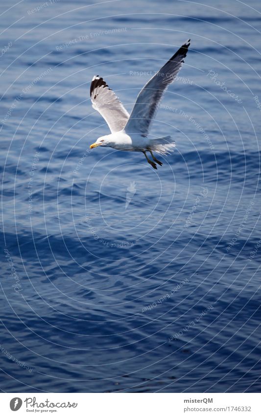 fly away. Art Environment Nature Esthetic Seagull Gull birds Flying Summer vacation Summery Easy Ocean Blue Surface of water Colour photo Multicoloured