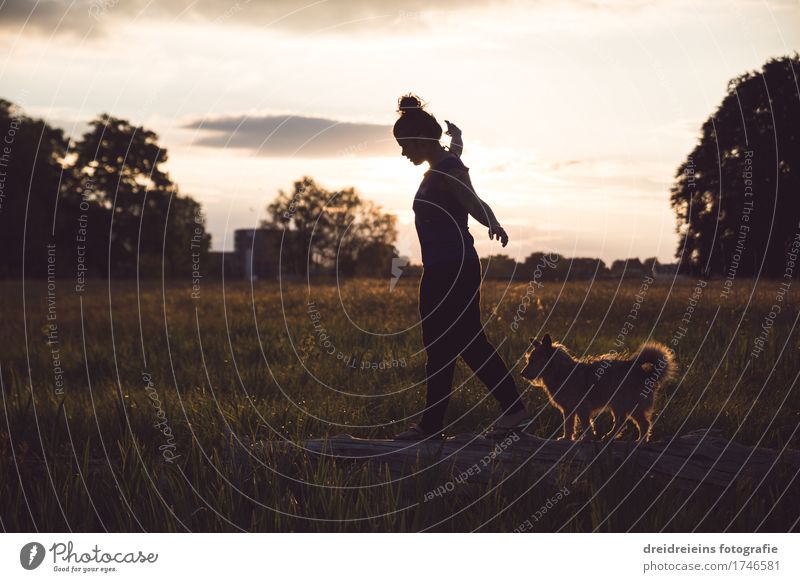 Balancing. Woman Adults Nature Sunrise Sunset Spring Summer Park Meadow Animal Dog Going Elegant Happy Infinity Natural Emotions Joie de vivre (Vitality)