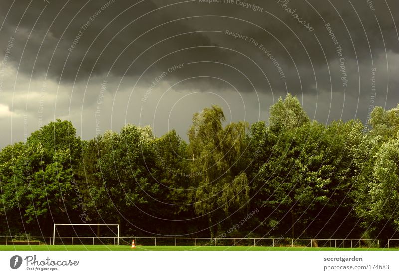 around back. Colour photo Subdued colour Exterior shot Day Central perspective Sky Clouds Summer Bad weather Thunder and lightning Tree Grass Park Green Soccer