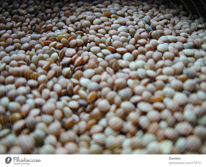 peep Structures and shapes Healthy lentil Macro (Extreme close-up)