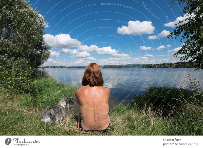 Woman, dog, lake, sun Beach vacation Bathing meadow Vacation & Travel Trip Summer Summer vacation Human being Feminine Adults Head Back 1 Nature Landscape Air