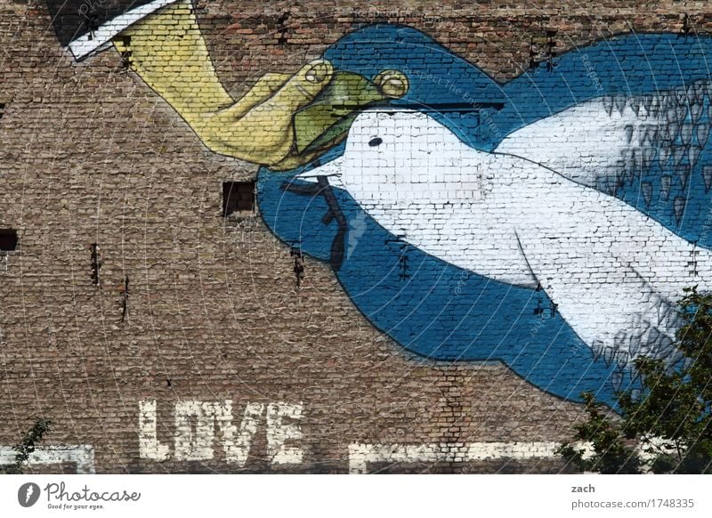 clay pigeon shooting Hand Art Painter Street art Graffiti Town Capital city Wall (barrier) Wall (building) Facade Bird Pigeon Sign Characters Dove of peace
