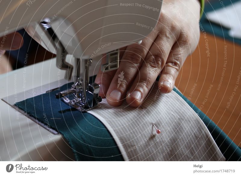 creative sewing lesson Sewing machine Human being Feminine Woman Adults Hand Fingers 1 30 - 45 years Authentic Uniqueness Brown Gray Green White Joy Creativity