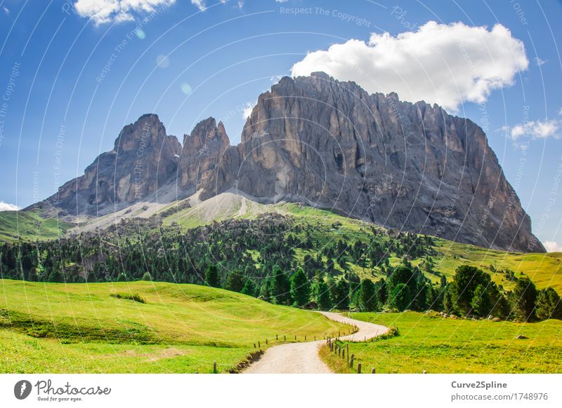 the rock Nature Landscape Elements Sky Clouds Sun Summer Beautiful weather Meadow Field Forest Hill Rock Alps Mountain Peak Hiking South Tyrol Dolomites