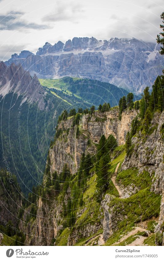mountain worlds Nature Landscape Elements Sky Clouds Summer Tree Meadow Field Forest Hill Rock Alps Mountain Peak Firm Blue Green South Tyrol Dolomites Massive