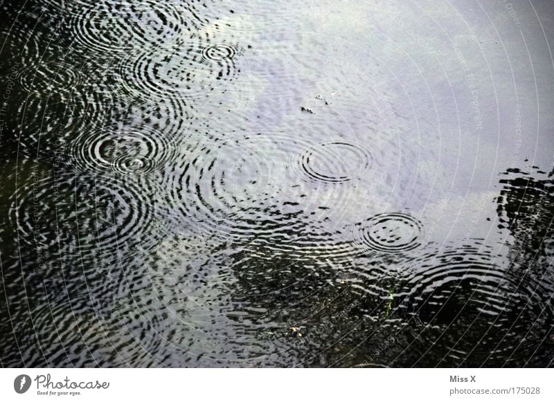 Rain in summer Exterior shot Detail Structures and shapes Deserted Day Light Shadow Reflection Trip Water Climate Climate change Bad weather Waves Lake River