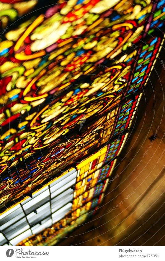 "I'm okay since I've been going to Bible study lately." Colour photo Interior shot Light (Natural Phenomenon) Glass Illuminate Church window Mosaic