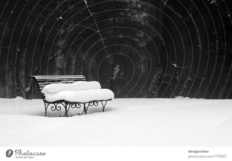 hibernation Black & white photo Exterior shot Copy Space right Copy Space top Copy Space bottom Day Contrast Elegant Style Design Winter Snow Climate Weather