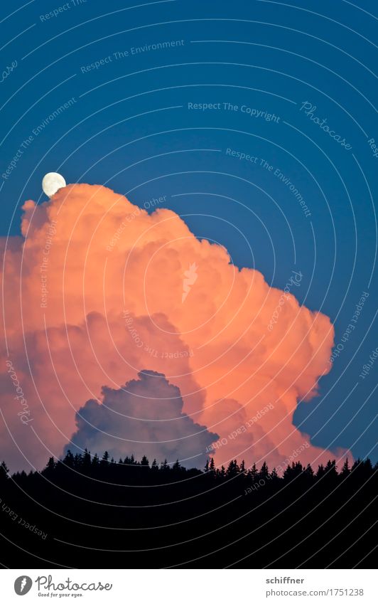 Monitored by the moon. Environment Nature Landscape Sky Clouds Storm clouds Sunrise Sunset Weather Beautiful weather Bad weather Thunder and lightning Forest