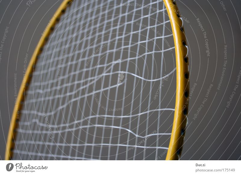 bad minton Colour photo Interior shot Close-up Detail Deserted Copy Space left Copy Space right Neutral Background Leisure and hobbies Playing Children's game