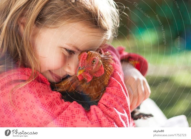 Careful girl Child Joy Infancy Childhood memory Hair and hairstyles Barn fowl Kissing To hold on Safety Love of animals Warm-heartedness Pet Warmth