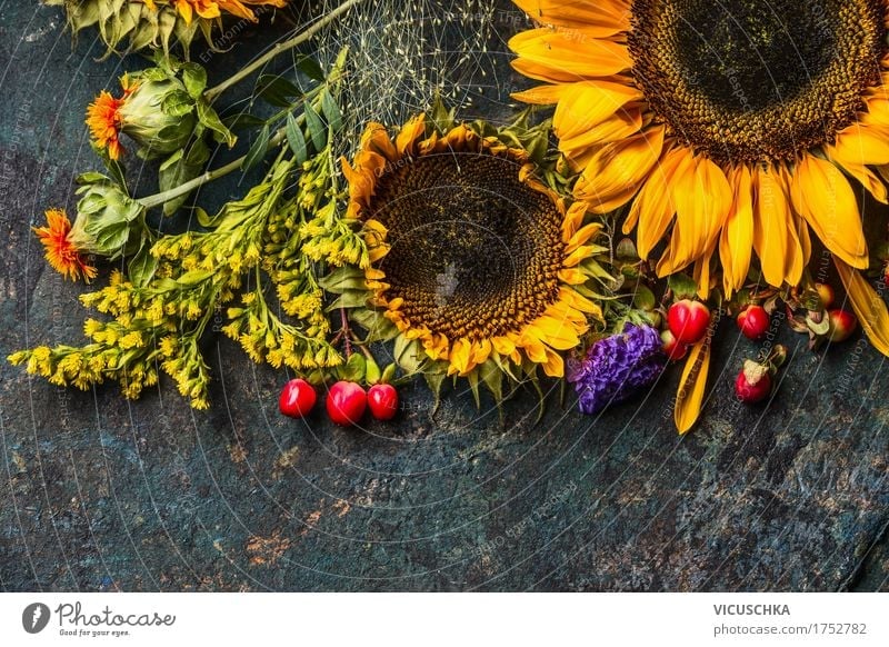 Sunflowers in autumn Bouquet of flowers Style Design Life Summer Decoration Nature Plant Autumn Flower Leaf Blossom Yellow Composing Florist Holiday season