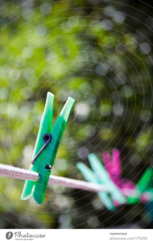 Colour photo Detail Deserted Day Shallow depth of field Plastic Green Clothes peg Pair of pliers Clothesline Rope Sunlight Summer