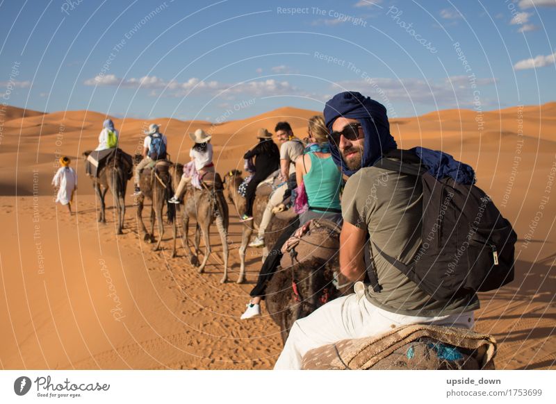 Dromedary Tour through the Moroccan Desert Ride Vacation & Travel Tourism Trip Adventure Far-off places Summer Summer vacation Sun Masculine Group 18 - 30 years