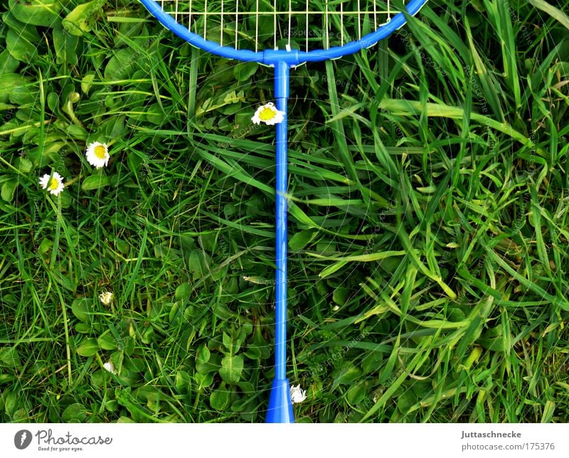 Too hot to play Playing badminton rackets Net Grass Meadow Badminton Lie Forget Invalided out reject Infancy Joy Movement Juttas snail