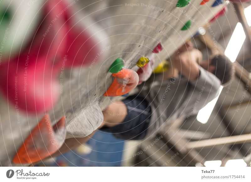 In the Boulderhalle #2 Leisure and hobbies Sports Fitness Sports Training Climbing Mountaineering Human being Hand Wall (barrier) Wall (building) Adventure