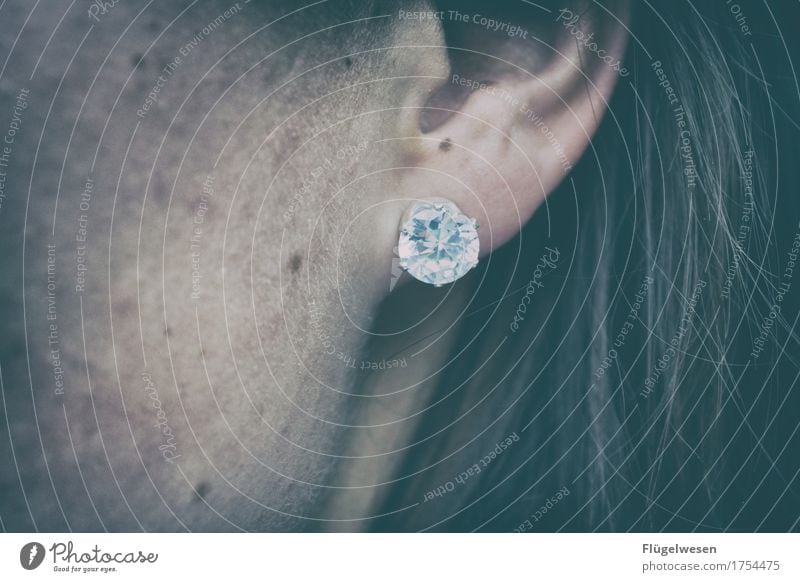 brilliant Diamond Ear Earring Hair and hairstyles Jewellery Circle Ring Beautiful