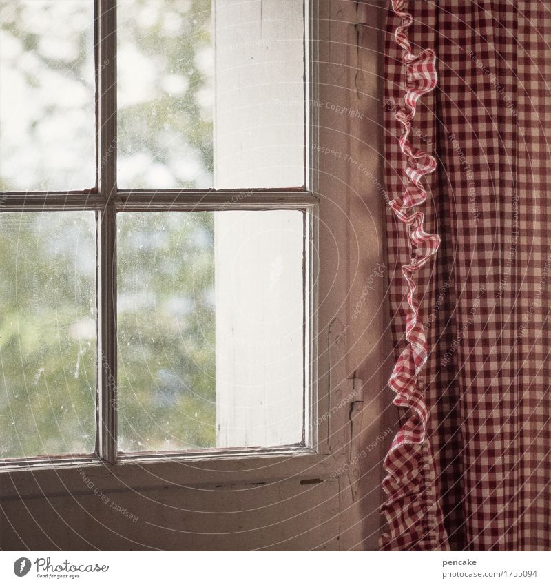 look checkered Nature Landscape Summer Village Window Friendliness Good Curiosity Diligent Orderliness Modest Thrifty Loneliness Relaxation Expectation Boredom
