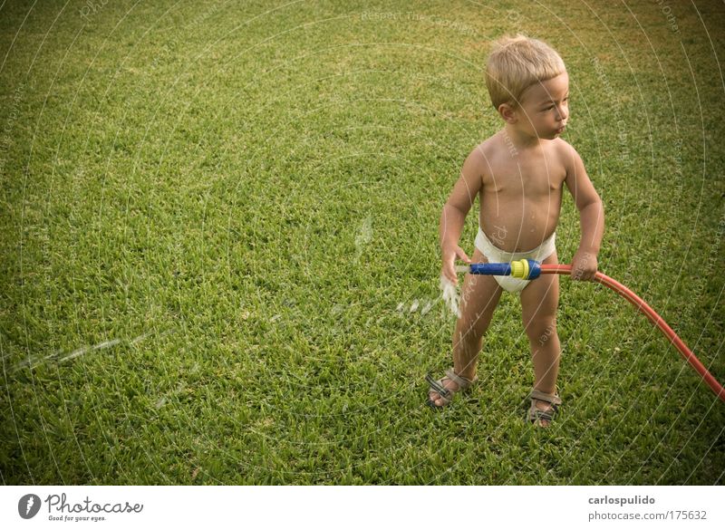 Colour photo Exterior shot Day Blur Baby Water Grass Life Lawn