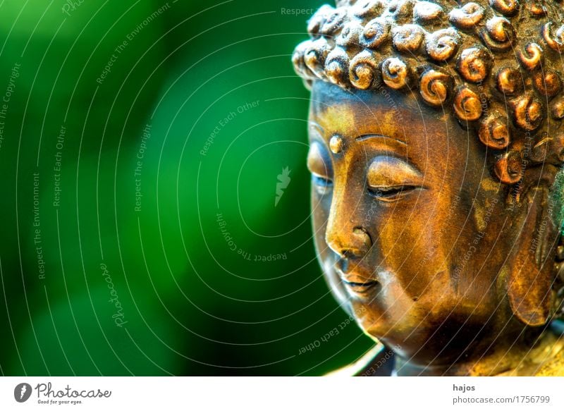 Buddha in Trance Meditation Old Positive Green Goodness Wisdom Religion and faith Know Buddhism Deepen Nirvana background text space Free space understanding