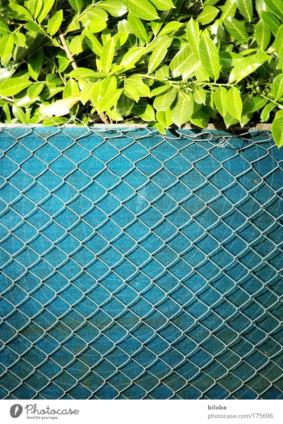 Fence stuff Colour photo Exterior shot Abstract Pattern Structures and shapes Deserted Copy Space bottom Day Shadow Deep depth of field Long shot Environment