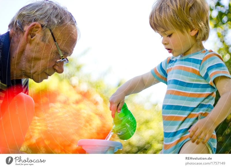 Grandpa with grandchild in the garden Human being Masculine Child Toddler Boy (child) Man Adults Male senior Grandfather Family & Relations Infancy