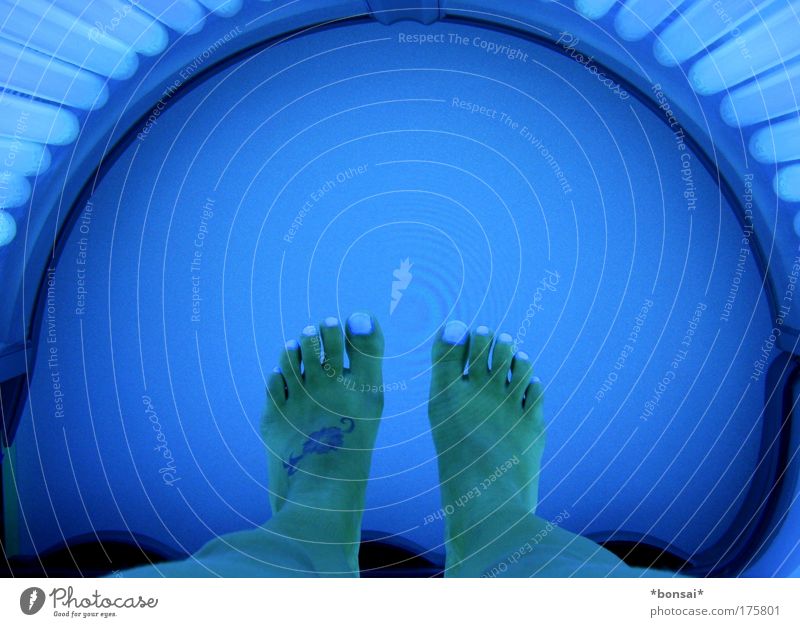 solarium Beautiful Skin Wellness Well-being Sunbathing Feminine Woman Adults Legs Feet 1 Human being Illuminate Lie Esthetic Bright Blue Colour photo