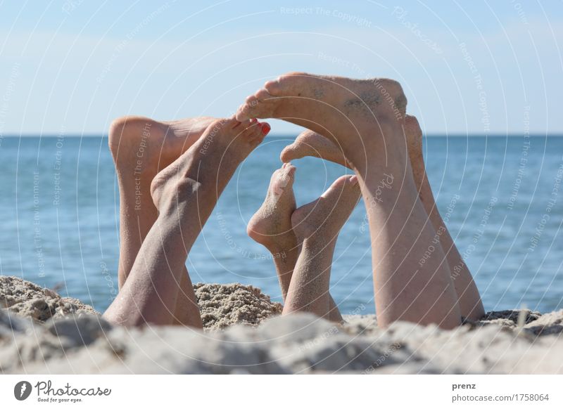 everything must go Masculine Feminine Legs Feet 3 Human being Environment Nature Landscape Summer Beautiful weather Beach Baltic Sea Blue Brown Gray Sand Darss