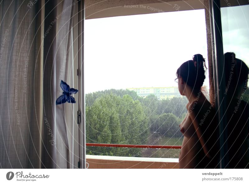 }{ [ ] ? Colour photo Interior shot Morning Light Beautiful Harmonious Senses Human being Feminine Young woman Youth (Young adults) Life 1 Water Weather Rain