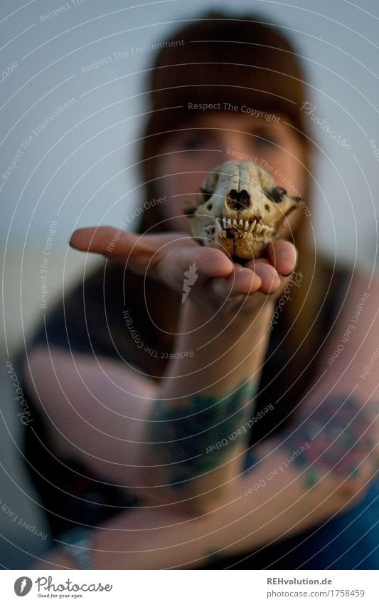 Carina with a skull. Human being Feminine Young woman Youth (Young adults) Face Hand 1 18 - 30 years Adults Tattoo Brunette Long-haired Bangs To hold on