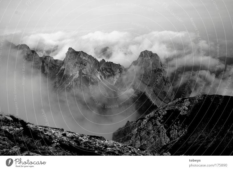 99: Devil's jagged Mountain Climbing Mountaineering Clouds Fog Rock Alps Peak Glacier Canyon Tall Vertigo God Allgäu Alps Bavaria To board Mountain range Deep