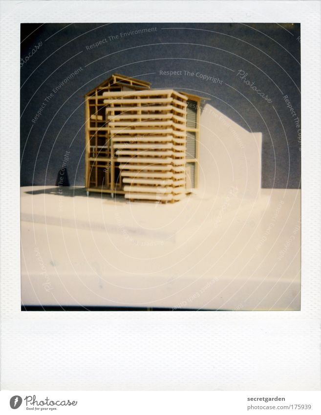 dream house in wooden construction Colour photo Subdued colour Interior shot Close-up Polaroid Deserted Copy Space top Copy Space bottom Neutral Background
