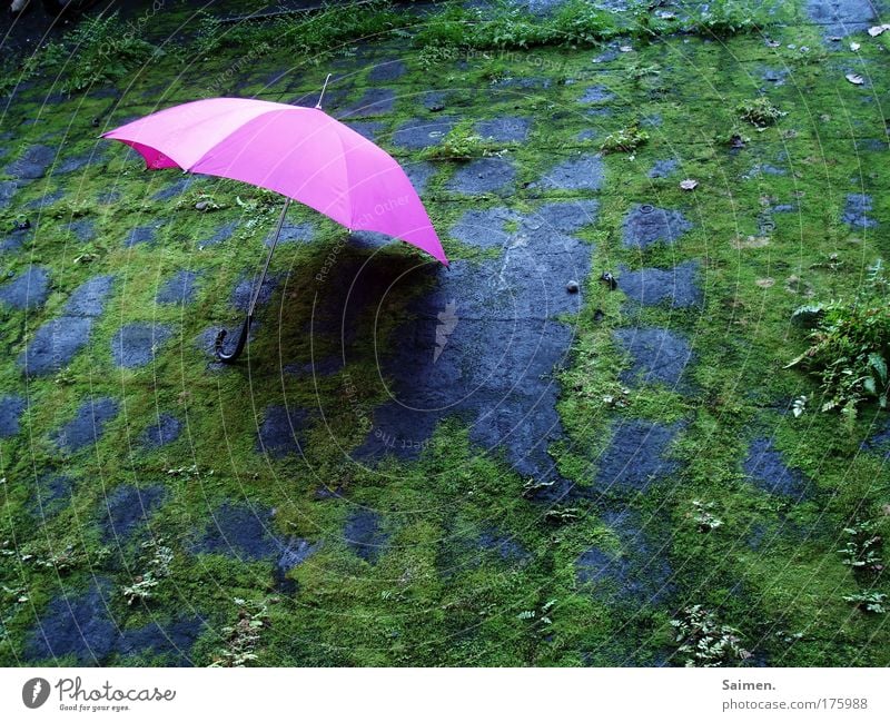 put down Colour photo Exterior shot Copy Space right Copy Space bottom Umbrella Loneliness Uniqueness Joy Contentment Idyll Kitsch Fern Weather Factory Pink