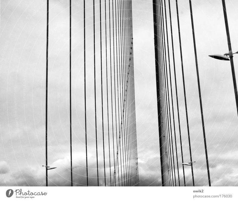 cable-stayed bridge Black & white photo Exterior shot Detail Abstract Pattern Structures and shapes Deserted Copy Space left Day Sky Clouds Climate Weather