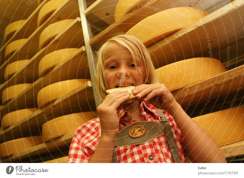 All Cheese Colour photo Interior shot Wide angle Portrait photograph Food Dairy Products Eating Vegetarian diet Overweight Tourism Cellar Child dairymaid Girl