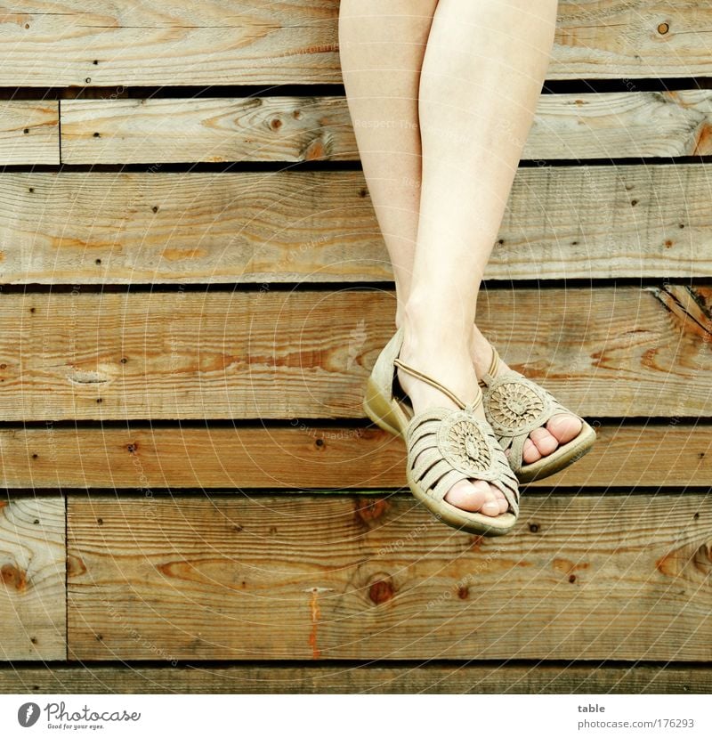 dangle Colour photo Subdued colour Style Joy Beautiful Well-being Contentment Relaxation Calm Woman Adults Legs Feet Toes Footwear Summer shoe Wood Leather