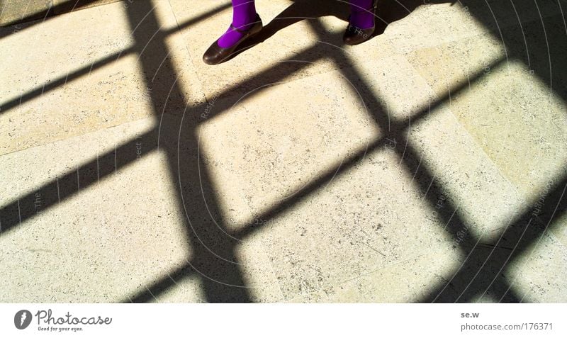 Walking on sunshine Colour photo Structures and shapes Copy Space left Copy Space right Copy Space bottom Copy Space middle Contrast Feminine Feet 1 Human being