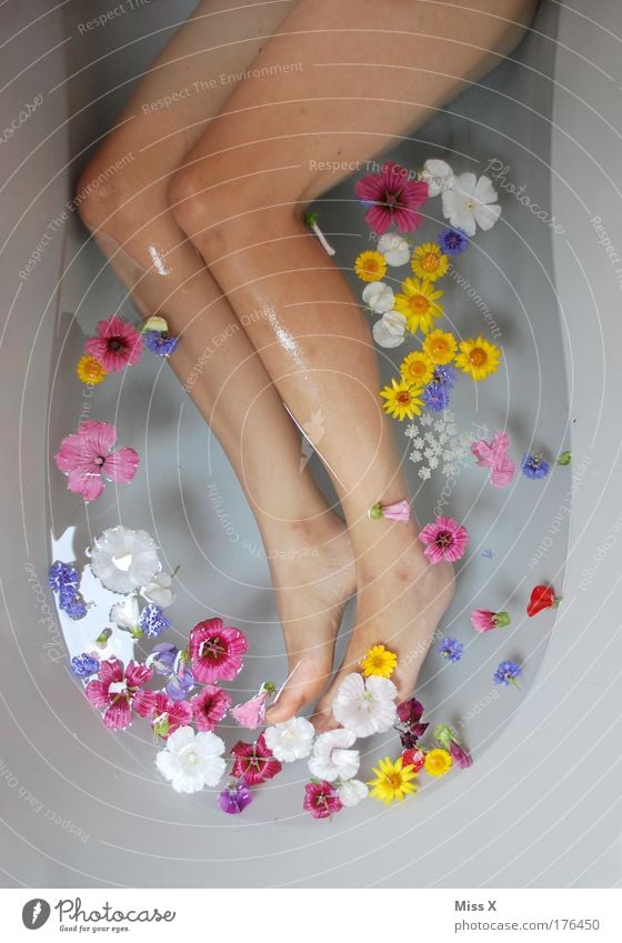 hay-flower bath Luxury Wellness Relaxation Swimming & Bathing Human being Feminine Young woman Youth (Young adults) Skin Legs Feet 1 18 - 30 years Adults Water