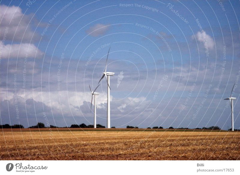 windmills Cornfield Plain Agriculture Wind energy plant
